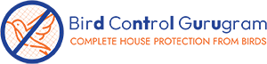 Bird Control Gurugram Logo